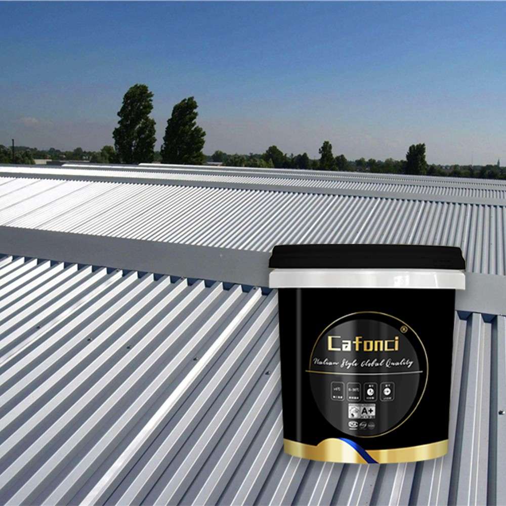 5 Surprising Benefits Of Acrylic Roof Waterproofing Coating For Homeowners(Image1)