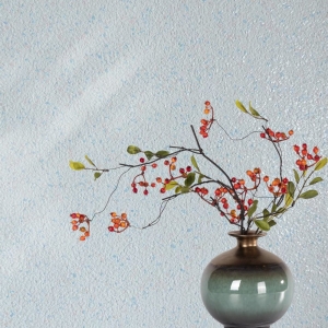 Shuixingaimiliya Indoor Emulsion